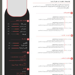 رزومه تک صفحه‌ای با طراحی مدرن