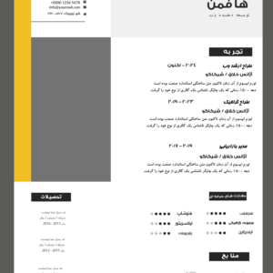 دانلود رزومه گرافیکی